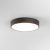  Astro Mallon LED 1125016 Bathroom Ceiling Lamp Bronze