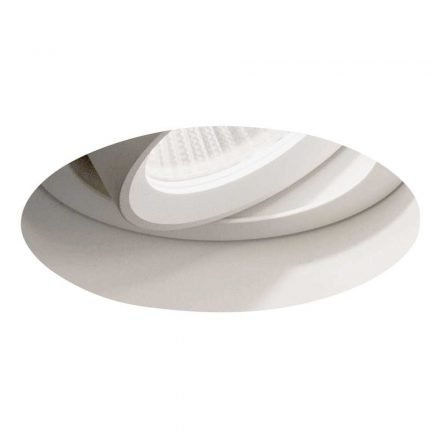 Trimless Round Adjustable LED