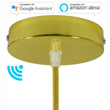  Smart Cylindrical Metal Ceiling Rose Kit - Compatible with Virtual Assistants