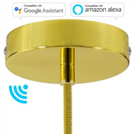  Smart Cylindrical Metal Ceiling Rose Kit - Compatible with Virtual Assistants