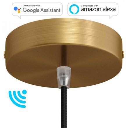  Smart Cylindrical Metal Ceiling Rose Kit - Compatible with Virtual Assistants