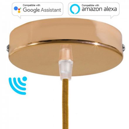  Smart Cylindrical Metal Ceiling Rose Kit - Compatible with Virtual Assistants