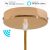  Smart Cylindrical Metal Ceiling Rose Kit - Compatible with Virtual Assistants