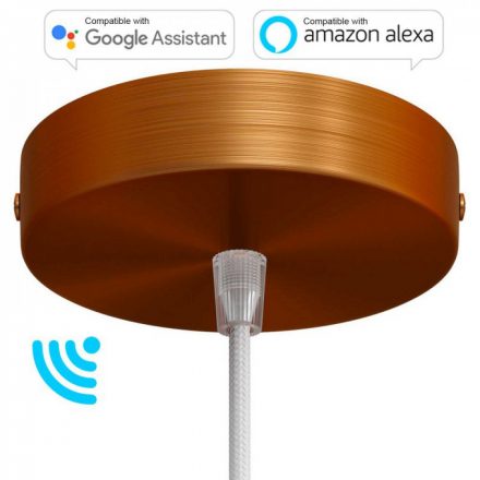  Smart Cylindrical Metal Ceiling Rose Kit - Compatible with Virtual Assistants