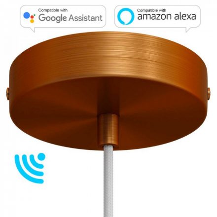  Smart Cylindrical Metal Ceiling Rose Kit - Compatible with Virtual Assistants