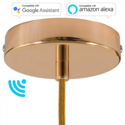  Smart Cylindrical Metal Ceiling Rose Kit - Compatible with Virtual Assistants