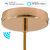  Smart Cylindrical Metal Ceiling Rose Kit - Compatible with Virtual Assistants