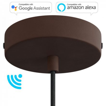  Smart Cylindrical Metal Ceiling Rose Kit - Compatible with Virtual Assistants