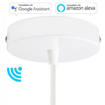  Smart Cylindrical Metal Ceiling Rose Kit - Compatible with Virtual Assistants