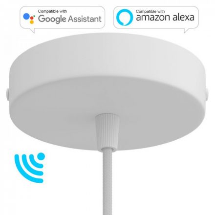  Smart Cylindrical Metal Ceiling Rose Kit - Compatible with Virtual Assistants