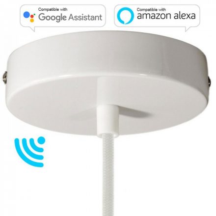  Smart Cylindrical Metal Ceiling Rose Kit - Compatible with Virtual Assistants