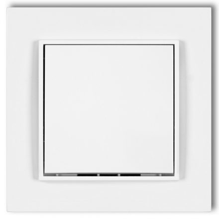  MINI single-pole switch with frame matt white 4160H