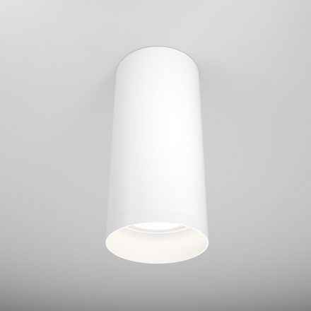 Technical Ceiling Focus Ceiling lamp C010CL-01W