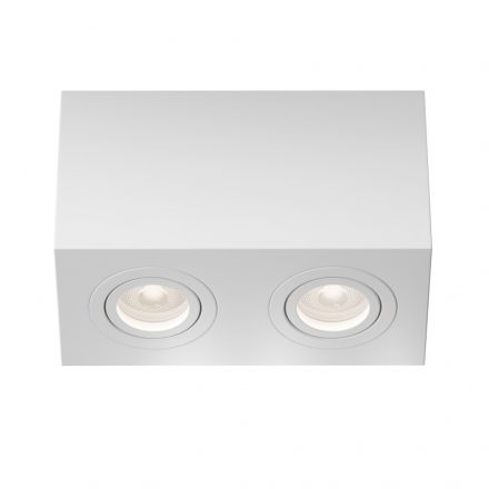 Technical Ceiling Atom Ceiling lamp C017CL-02W