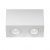 Technical Ceiling Atom Ceiling lamp C017CL-02W