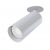 Technical Ceiling Focus Ceiling lamp C018CL-01W