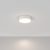 Technical Ceiling Zon Ceiling lamp C032CL-L32W4K