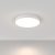 Technical Ceiling Zon Ceiling lamp C032CL-L48W4K