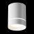 Technical Ceiling Orlo Ceiling lamp C085CL-9W4K-W