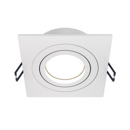 Technical Downlight Atom Downlight DL024-2-01W