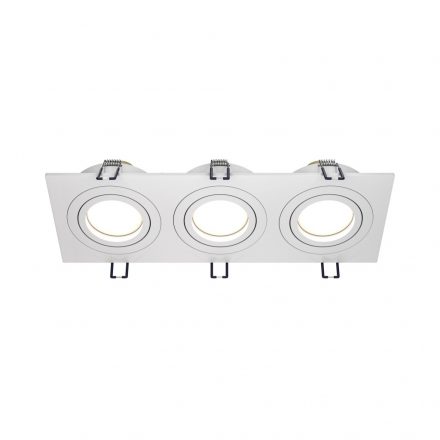 Technical Downlight Atom Downlight DL024-2-03W