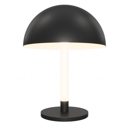 Maytoni Table & Floor Ray Table lamp Z012TL-L8B3K