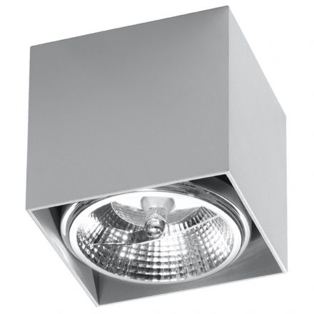 Ceiling lamp BLAKE grey