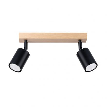 Ceiling lamp VERDO 2 black